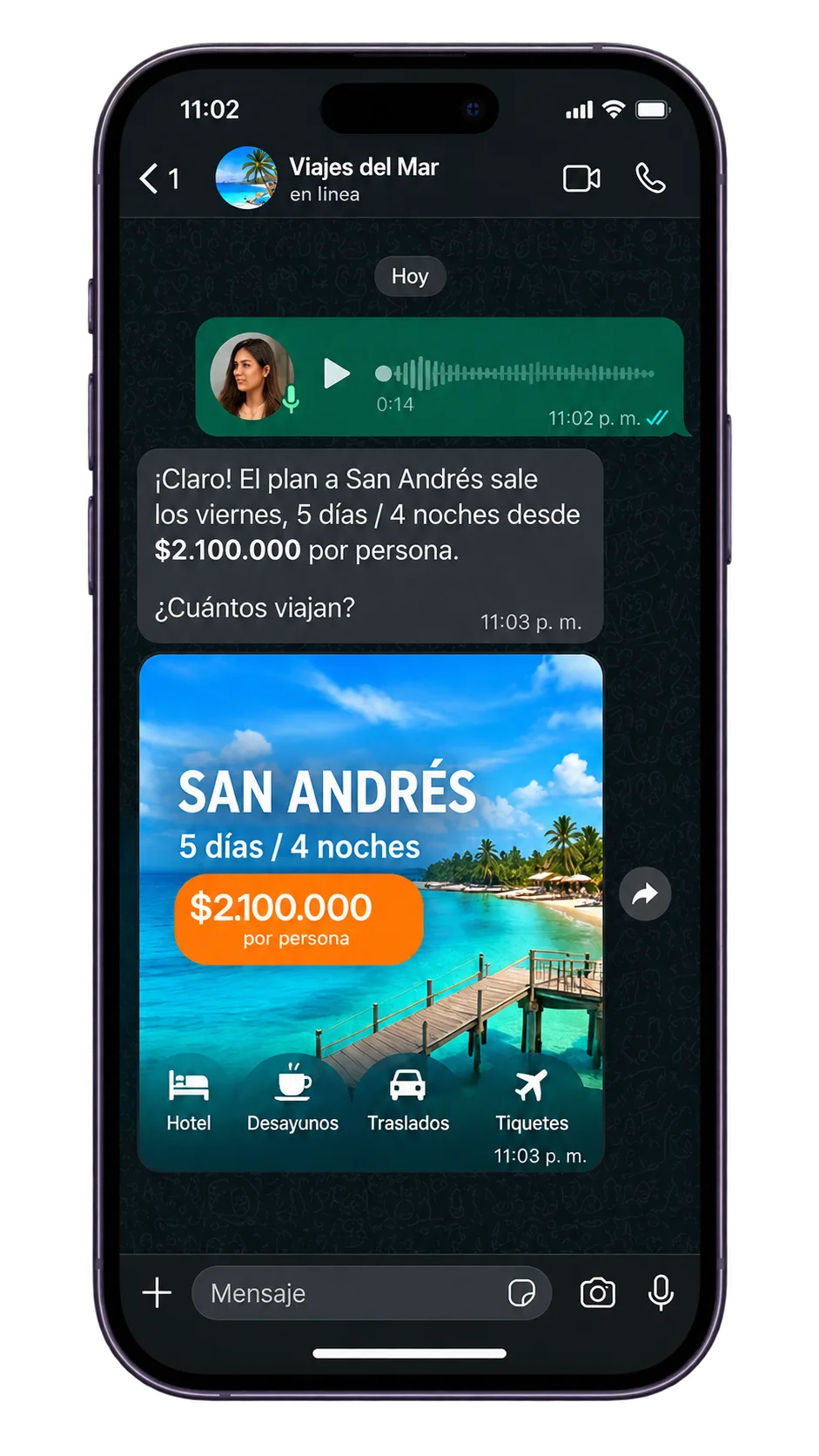 El viajero manda una nota de voz y el bot le contesta con el plan a San Andrés